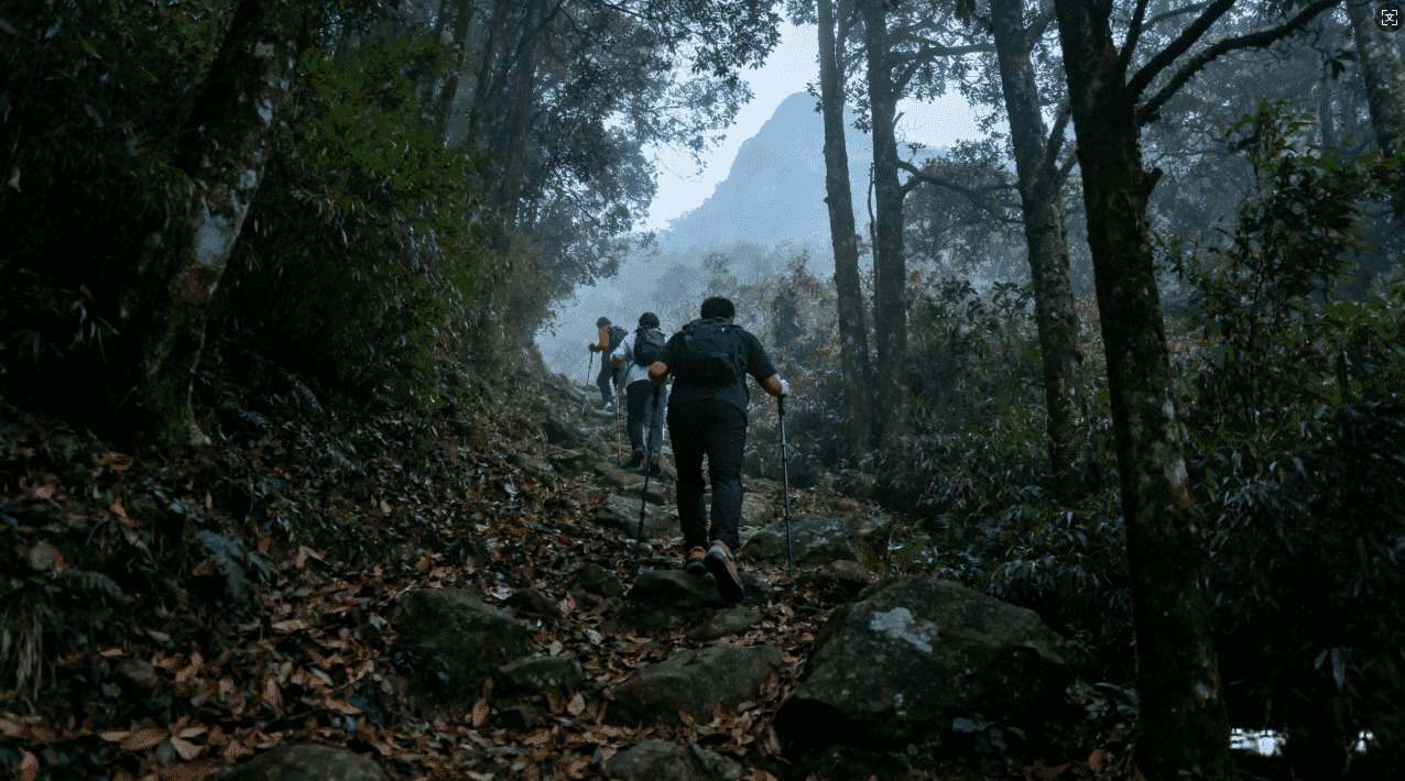加速器改梯子的方法快速教程推荐